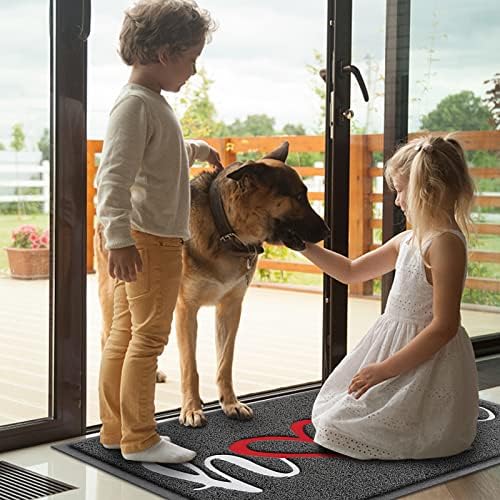 Door Mat Welcome Mat Floor Mat for Entryway, Patio, High Traffic Areas - Image 2