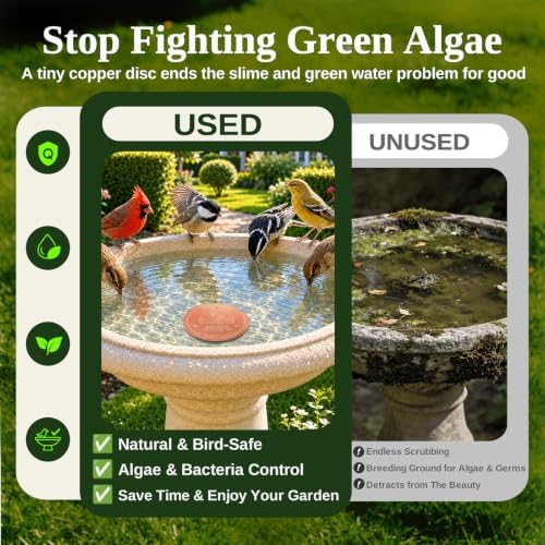 Copper Disc for Bird Bath, 99.9% Pure Copper (Cardinal) - Image 3