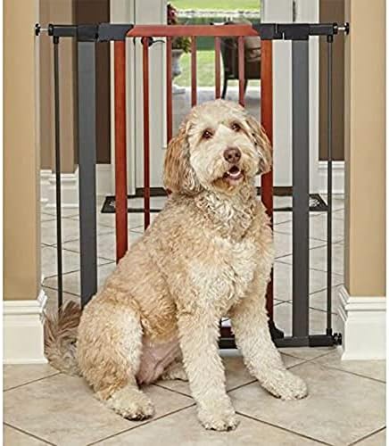 MidWest Homes for Pets 39-Inch Pet Gate, Graphite Frame, Wood Door - Image 5