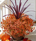Fall Flowers Artificial Mums for Outdoors Autumn Decor, 12 Bundles Orange Fake Fall Mums with 1 pcs Burgundy Orchid Leaf UV Resistant Look Real Faux Flowers for Outside Planter Home Porch Patio Yard by florisso