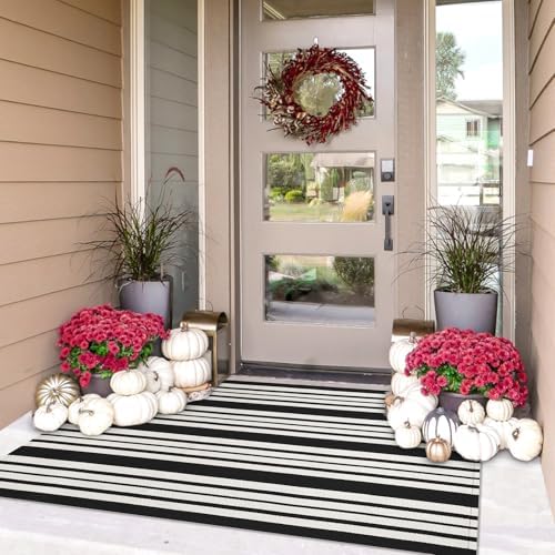 IOHOUZE 3x5 Striped Outdoor Rug, Washable Front Porch, Black White by iOhouze
