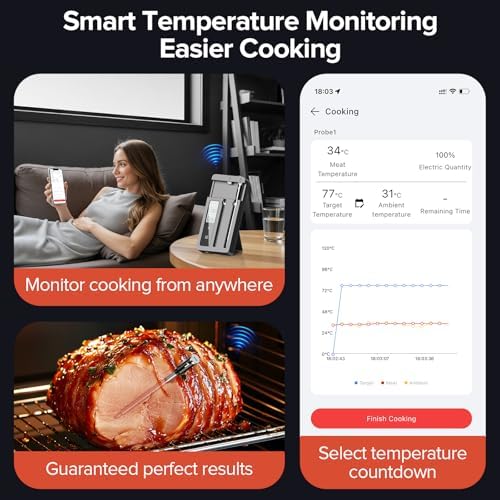 Smart Wireless Meat Thermometer, 2 Probes, WiFi Base with Magnetic Mount - Image 2
