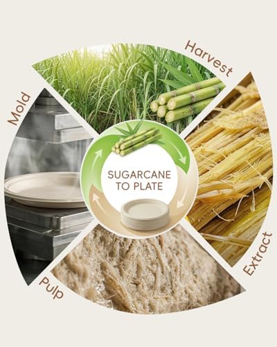 Goodluck 9 Inch Natural Compostable Sugarcane Paper Plates 125 Pack - Image 6