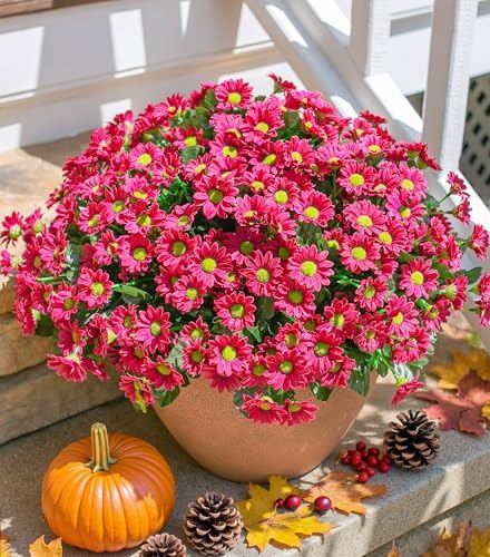 Daisy Artificial Flowers for Outdoors Autumn Fall Decoration, 6 Bundles Fake Mums Dark Red Silk Flowers for Outside Look Real UV Resistant Faux Flowers Plants for Planter Front Door Home Indoor Porch by INSPRING