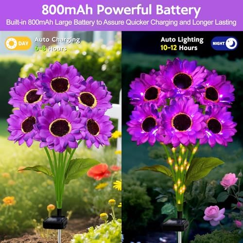 Solar Sunflower Lights Outdoor Garden Decor, 6 Pack Solar Purple Flowers Lights with 36 Sunflowers, Waterproof Fall Decor Stake Decorative Light Auto ON/Off for Garden Yard Patio, Gift for Women - Image 3