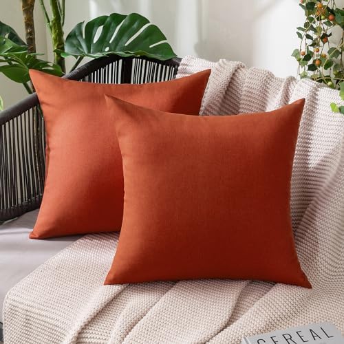 MIULEE Decorative Outdoor Pillow Covers Fall 20x20 Burnt Orange by MIULEE