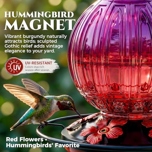 Glass Hummingbird Feeder for Outdoors Hanging, 26 fl oz Bird Nectar Feeder - Image 2