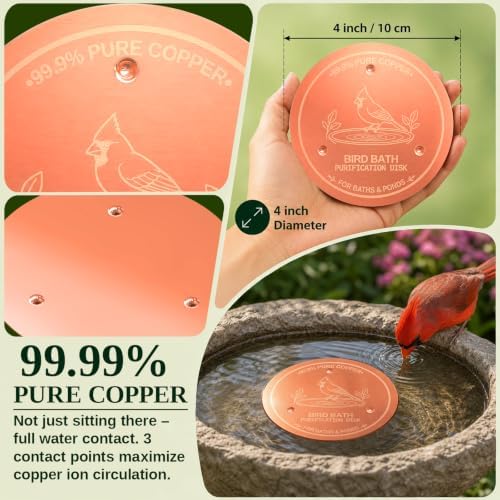 Copper Disc for Bird Bath, 99.9% Pure Copper (Cardinal) - Image 6