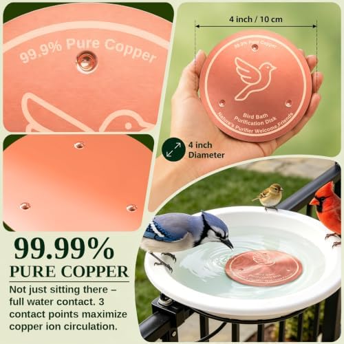 Copper Disc for Bird Bath, 99.9% Pure Copper (Dove) - Image 6