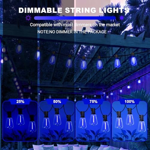 LAMPHOME 26Ft ST38 Outdoor String Lights, Blue Patio Lights with 12+1 ST38 Edison Bulbs, LED Shatterproof String Lights for Outside Bistro Christmas Patio Party Decorations - Image 5
