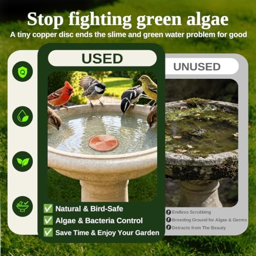 Copper Disc for Bird Bath, 99.9% Pure Copper (Dove) - Image 3