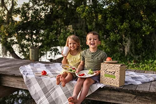 Eco-friendly Camping Supplies [16 Dinnerware Set] for Picnic Basket & Party Supplies. Compostable Paper Plates, Napkins, Biodegradable Utensils, Cups, Green Tablecloths, by Earth's Natural Alternative - Image 6