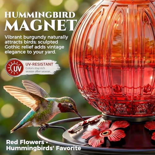 Glass Hummingbird Feeder for Outdoors Hanging, 26 fl oz Bird Nectar Feeder - Image 2