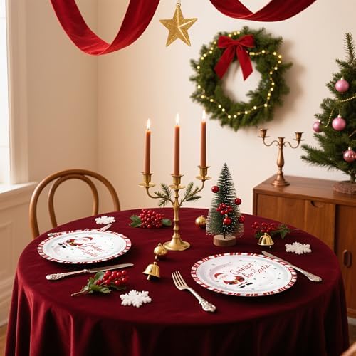 WRAPAHOLIC 25Pcs Christmas Paper Plates - 9 Inch Cookies for Santa Disposable Plates Decorative Dinner Plates for Christmas Party Tableware Supplies Table Decor - Image 3