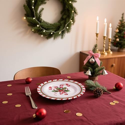 WRAPAHOLIC 25Pcs Christmas Paper Plates - 9 Inch Candy Cane Disposable Plates Decorative Dinner Plates for Christmas Party Tableware Supplies Table Decor - Image 6