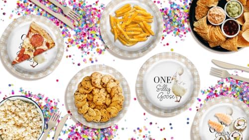 One Silly Goose First Birthday - 32 Piece Disposable Party Supplies - Decorations for Gingham 1st Birthday Round Party Plates - Large 9" Paper Plates In Bulk - Image 2