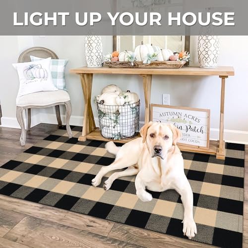 IOHOUZE 4x6 Buffalo Plaid Outdoor Rug, Washable Front Porch, Tan Black - Image 4