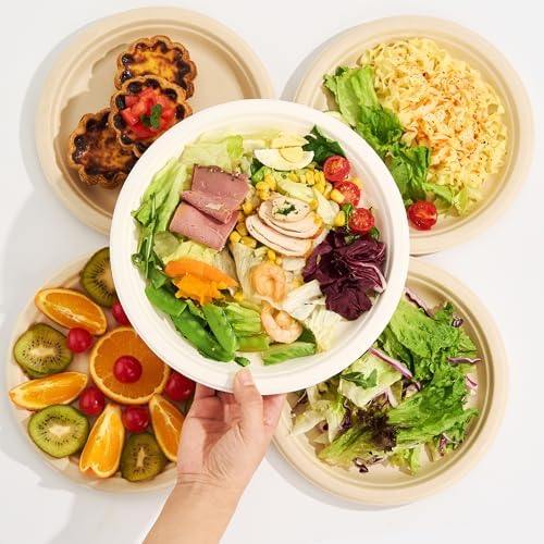 10 Inch 150 Pack Compostable Paper Plates - Image 4
