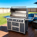 49" Stainless Steel Grey Grill, 4 Burners & Infrared Burner, Natural Gas by Dvasovio