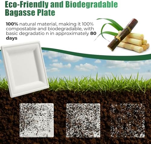300 Pcs Biodegradable Paper Plates Set Disposable Dinnerware - Image 6
