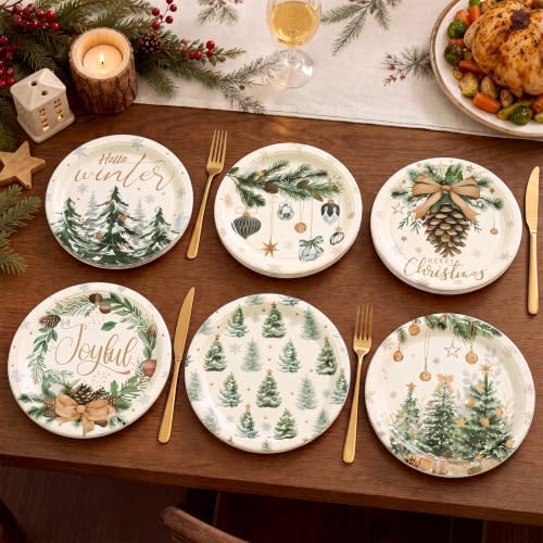 Rtteri 100 Pcs Christmas Paper Plates Disposable 9 Inch Winter Dinner Plate - Image 5