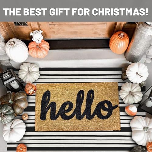 IOHOUZE 2.3x3.6 Striped Outdoor Door Mat, Washable Porch Rug, Black White - Image 2