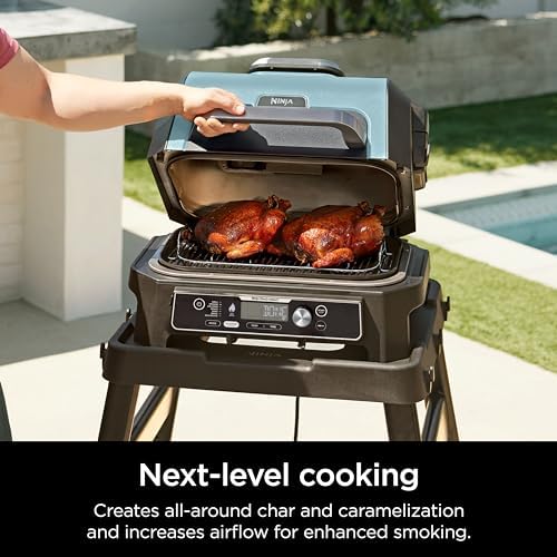 Ninja Woodfire XL Roast & Smoke Rack, for OG800/OG900, Steel, Silver - Image 2