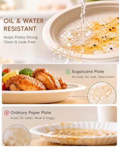 Goodluck 9 Inch Natural Compostable Sugarcane Paper Plates 400 Pack - Image 5