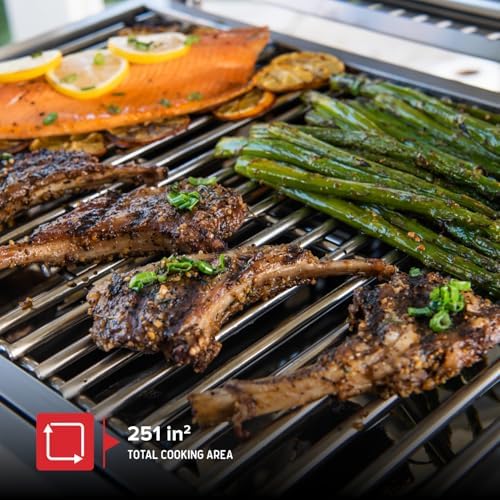 Nexgrill Tabletop 2 Burner Gas Grill, Stainless Steel with Folding Legs - Image 3