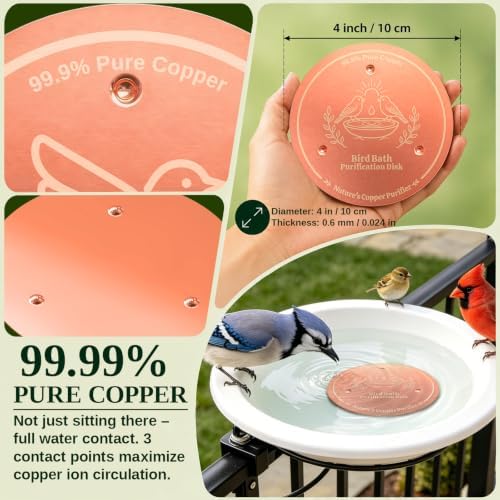 Copper Disc for Bird Bath, 99.9% Pure Copper (Two Birds) - Image 3