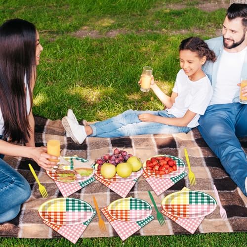 Lonfliness 96 Pcs Camp Checked Paper Plates and Napkins Checkered Bachelorette Party Supplies Checked Birthday Tableware Set Plaid Camping Themed Summer Party Favors Baby Bridal Shower Decor - Image 6