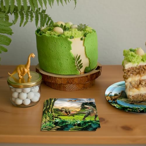 Dinosaur Birthday Party Supplies Dinosaur Theme Disposable Tableware Party Decor Jurassic Theme Party Paper Plates Napkins for Kids Party Decoration, Serve 20 - Image 6