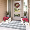 IOHOUZE 3x5 Buffalo Plaid Outdoor Rug, Washable Front Porch, Grey White by iOhouze