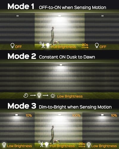SUPERDANNY Solar Lights - Image 4