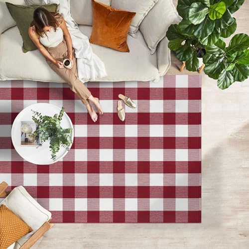 IOHOUZE Christmas Buffalo Plaid Outdoor Rug 4x6, Washable, Red White - Image 3