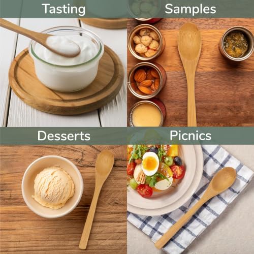 BambooMN 8" Reusable Bamboo Dinner Spoon - 10 Units - Image 6