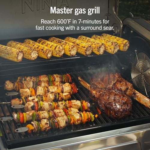 Ninja FlexFlame Grill & Smoker, Electric & Propane, 5-in-1, Steel,PG301 - Image 6