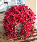 Faux Bougainvillea Artificial Flowers Plants for Outdoors Outside Decoration, 2 PCS Fake Flowers Silk Long Trailing Vines UV Resistant Realistic for Front Door Porch Planter Urn Patio Balcony Hot Pink by INSPRING