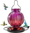 Glass Hummingbird Feeder for Outdoors Hanging, 26 fl oz Bird Nectar Feeder by GreteGotye