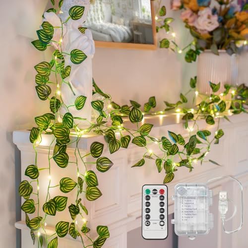 suddus 33FT Watermelon Vines with Lights Battery&USB Powered Copper Wire by SUDDUS