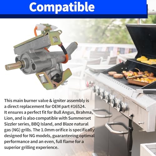 1.0mm Gas Grill Main Burner Control Valve & Igniter Assembly, Replacement for Bull Angus/Brahma/Lion, Summerset Sizzler Series, BBQ Island, Blaze NG Grills, Replaces OEM Part #16524 - Image 2