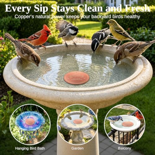 Copper Disc for Bird Bath, 99.9% Pure Copper (Two Birds) - Image 6