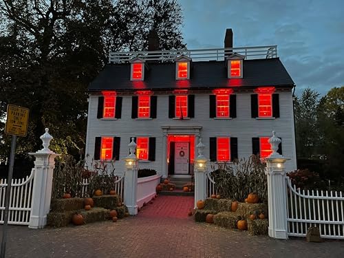 Hompavo Upgraded Flame Light Bulbs for Halloween Decorations, 4 Modes E26 - Image 3
