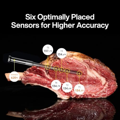 Typhur Sync Gold Wireless WiFi Meat Thermometer, 2 Slim Probes, Smart Base - Image 2