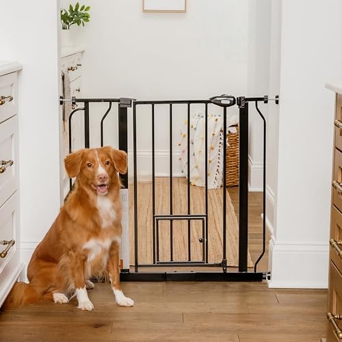 Carlson 29–36.5” Extra Wide Dog Gate with Small Pet Door, Walk-Through Pressure Mounted Metal Indoor Pet Safety Gate, Black, Tested and Trusted by Pet Parents, American Designed, American Owned by Carlson%C2%AEPetProducts