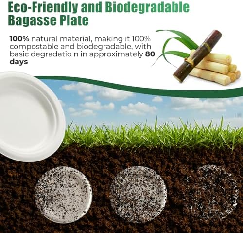 250 Pcs Biodegradable Paper Plates Set Disposable Dinnerware - Image 6