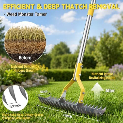 Thatch Rakes , 15-Inch Wide Thatching Rake for Cleaning Dead Grass, 70-Inch Efficient Steel Dethatcher Rake with Adjustable Metal Handle, Thatch Rakes for Lawns, Garden, Yard - Image 3