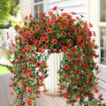 INQCMY Artificial Fake Hanging Flowers Plants for Outdoor Fall Decoration by INQCMYPlantRack