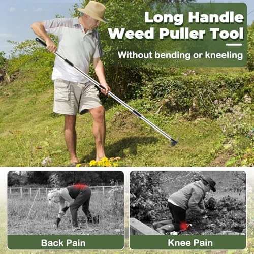 NICOFPHY Weed Puller Tool with Long Handle, Heavy Duty Garden Hoe and Rake - Image 3