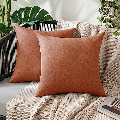 MIULEE Decorative Outdoor Pillow Covers Fall Euro 22x22 Rust by MIULEE